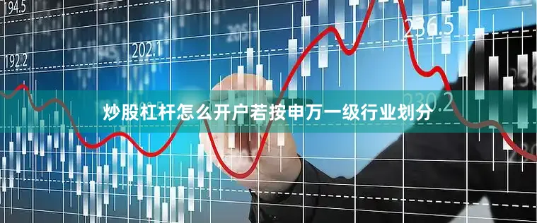 炒股杠杆怎么开户若按申万一级行业划分
