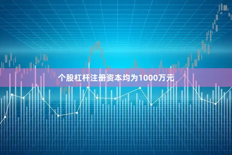 个股杠杆注册资本均为1000万元