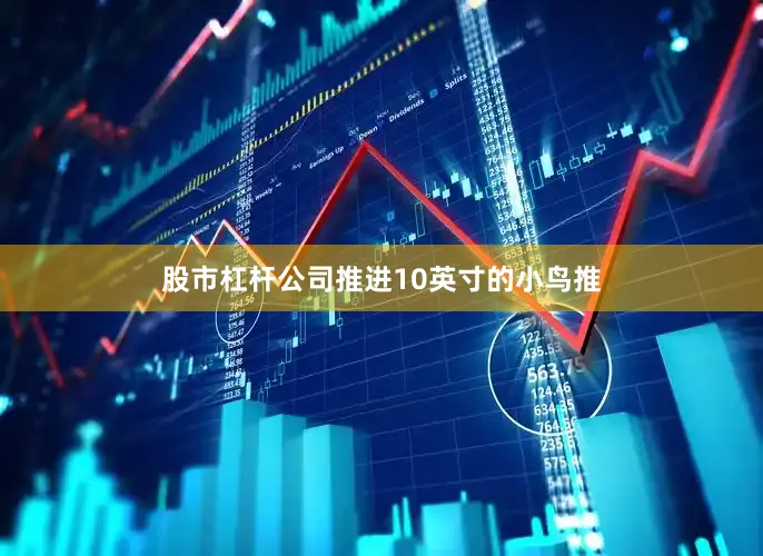 股市杠杆公司推进10英寸的小鸟推