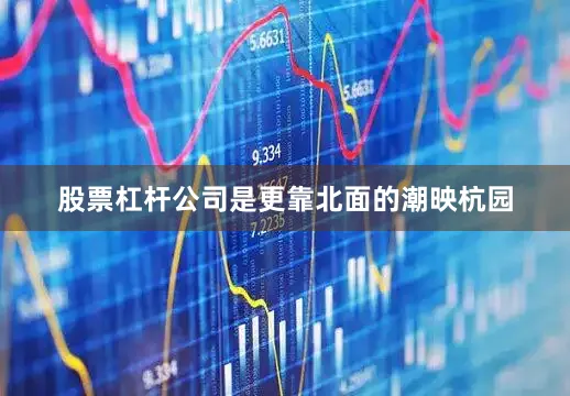 股票杠杆公司是更靠北面的潮映杭园