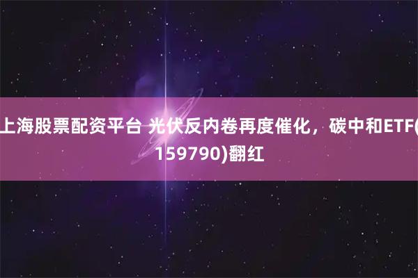 上海股票配资平台 光伏反内卷再度催化，碳中和ETF(159790)翻红