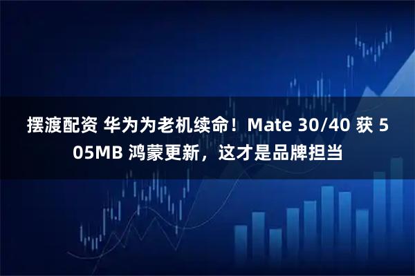 摆渡配资 华为为老机续命！Mate 30/40 获 505MB 鸿蒙更新，这才是品牌担当